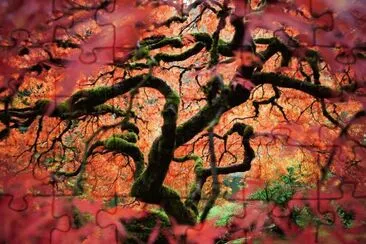 NATUREZA jigsaw puzzle