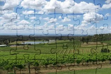 Hunter Valley Wine country jigsaw puzzle