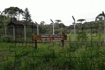 Parque Estadual - Campos do JordÃ£o - SP