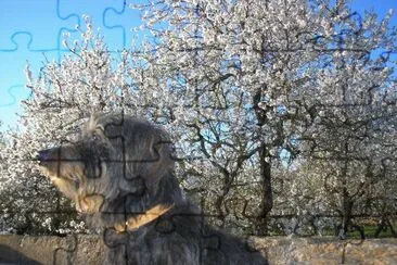 Almendros en flor y Max