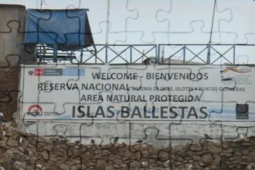 Ilhas Ballestas - Peru