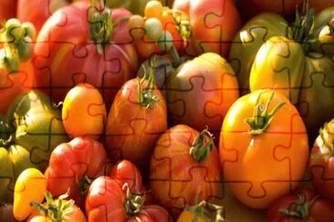 tomates