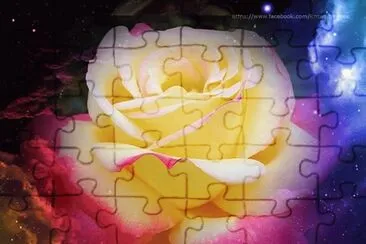 rosas jigsaw puzzle