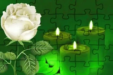 rosas jigsaw puzzle