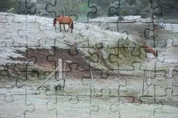 NEVE jigsaw puzzle