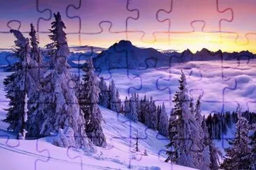 NEVE jigsaw puzzle