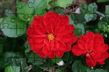 87 jigsaw puzzle