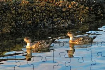 En Tierra del Fuego. Argentina