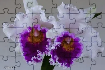 flores jigsaw puzzle