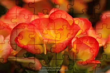 flores jigsaw puzzle