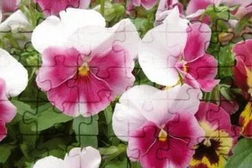 flores jigsaw puzzle