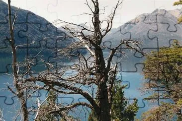 Lago Mascardi. Provincia de RÃ­o Negro. Argentina jigsaw puzzle