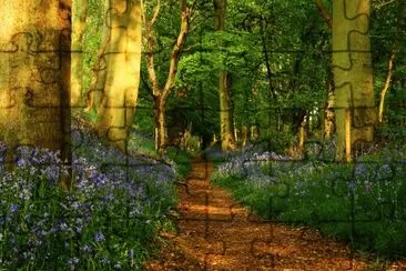 Bosque jigsaw puzzle