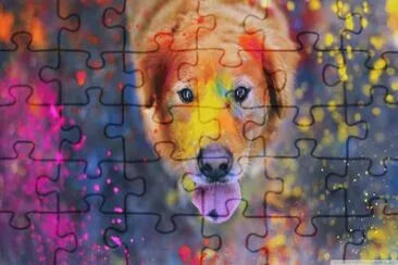 Tiernas mascotas jigsaw puzzle