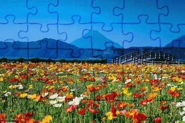 tulipas jigsaw puzzle