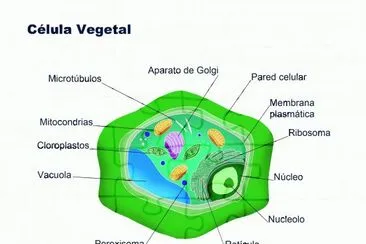 Actividad de exploraciÃ³n de conocimientos previos