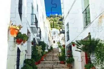 Calle decorada con plantas