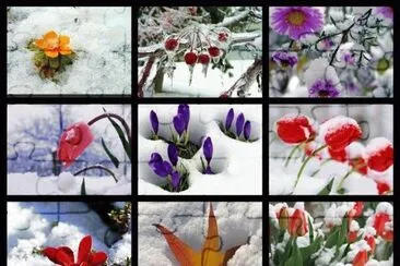 Winterbild jigsaw puzzle