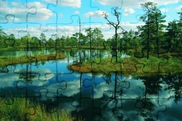 parco nazionale jigsaw puzzle