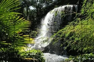 iveagh gardens