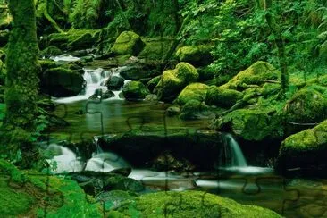 torc waterfall