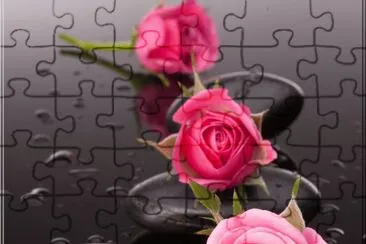 Rosen jigsaw puzzle