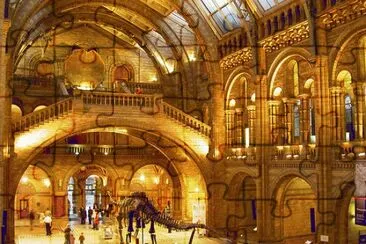 natural history museum