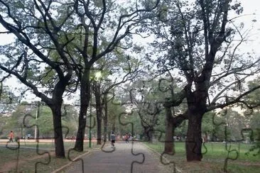 פאזל של Parque Carlos A Lopez