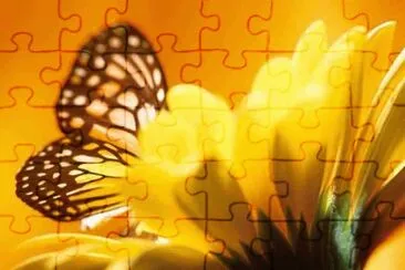 imagens jigsaw puzzle