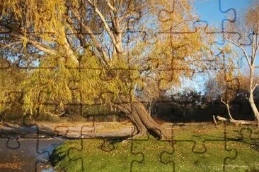 Cerca de Villa Elisa. Buenos Aires. Argentina jigsaw puzzle