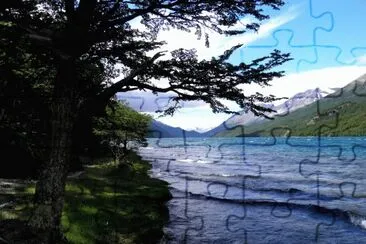 Lago del Desierto. Patagonia Argentina jigsaw puzzle