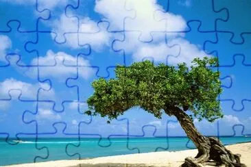 Paisaje jigsaw puzzle