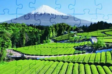 imagens jigsaw puzzle