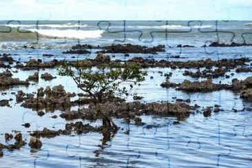 Mar de Manguinhos - Serra - ES