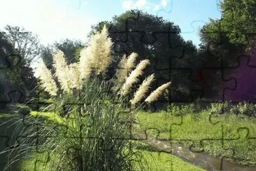 En Calamuchita. CÃ³rdoba. Argentina