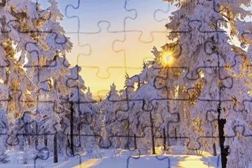 43 jigsaw puzzle