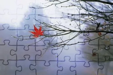 46 jigsaw puzzle