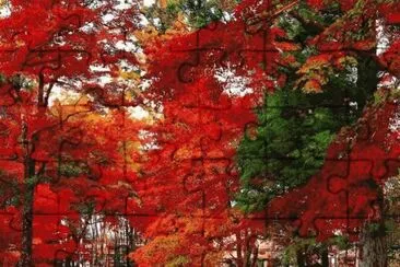 OtoÃ±o en JapÃ³n