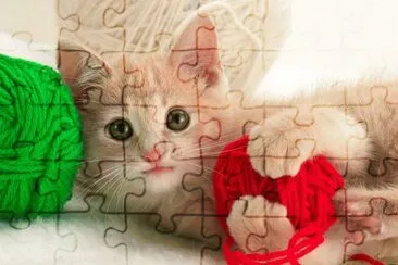 GATOS jigsaw puzzle