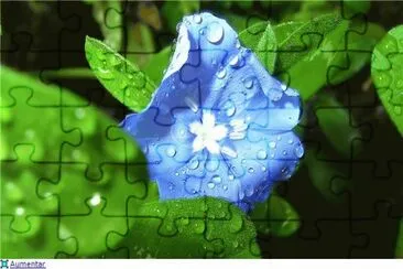 blue jigsaw puzzle