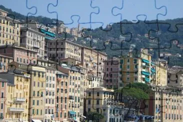  jigsaw puzzle