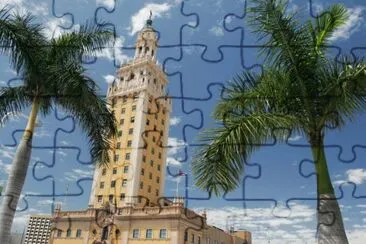 vzla jigsaw puzzle