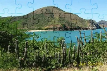 VE.07 jigsaw puzzle