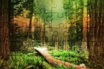 Naturaleza hermosa jigsaw puzzle