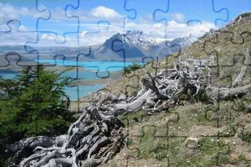 Lago Belgrano. Patagonia Argentina jigsaw puzzle