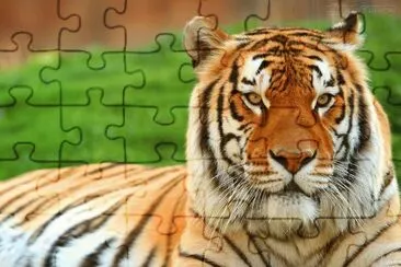 Natureza jigsaw puzzle