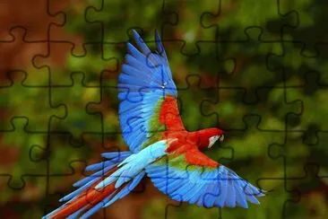 Natureza jigsaw puzzle