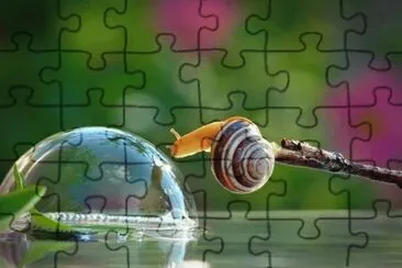 Natureza jigsaw puzzle