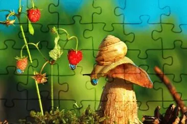 Natureza jigsaw puzzle