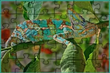 Natureza jigsaw puzzle